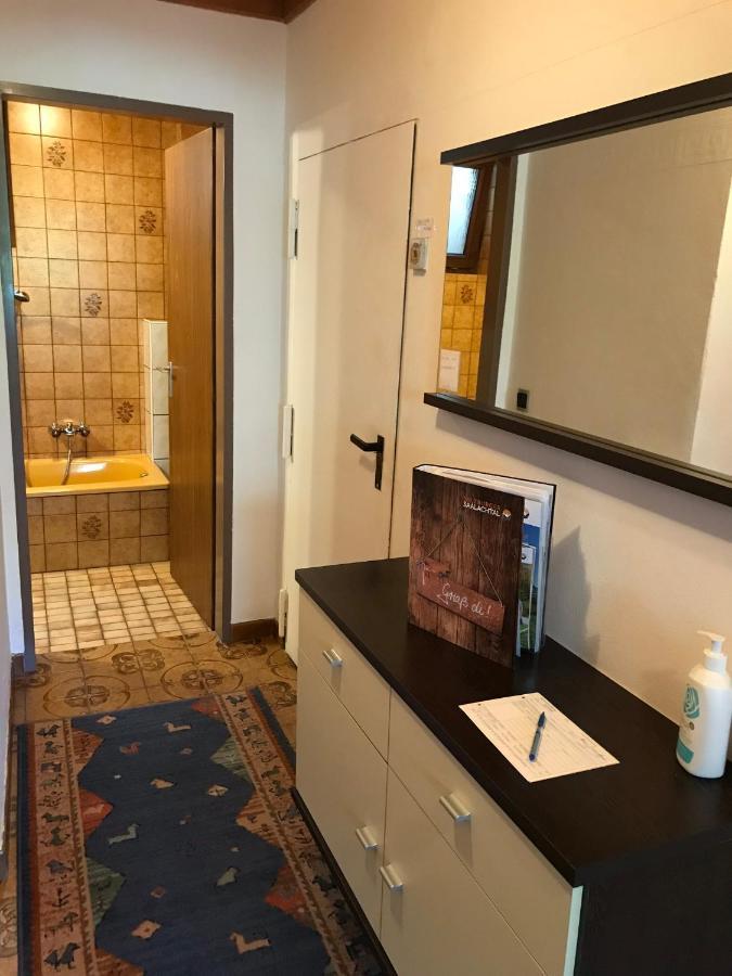 Haus Fernsebner Apartment Лофер Екстериор снимка